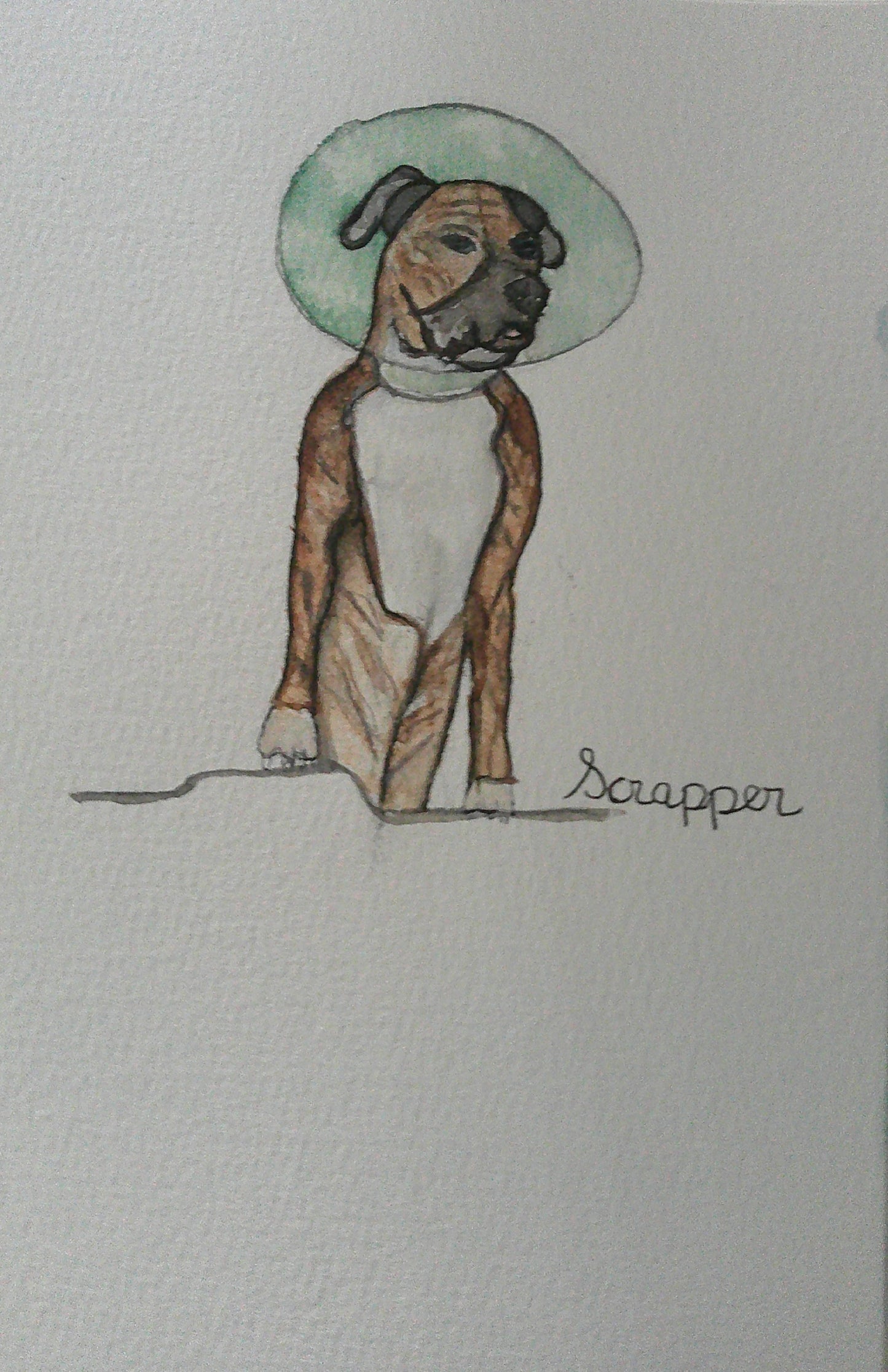 Pet (mini) portraits in watercolor