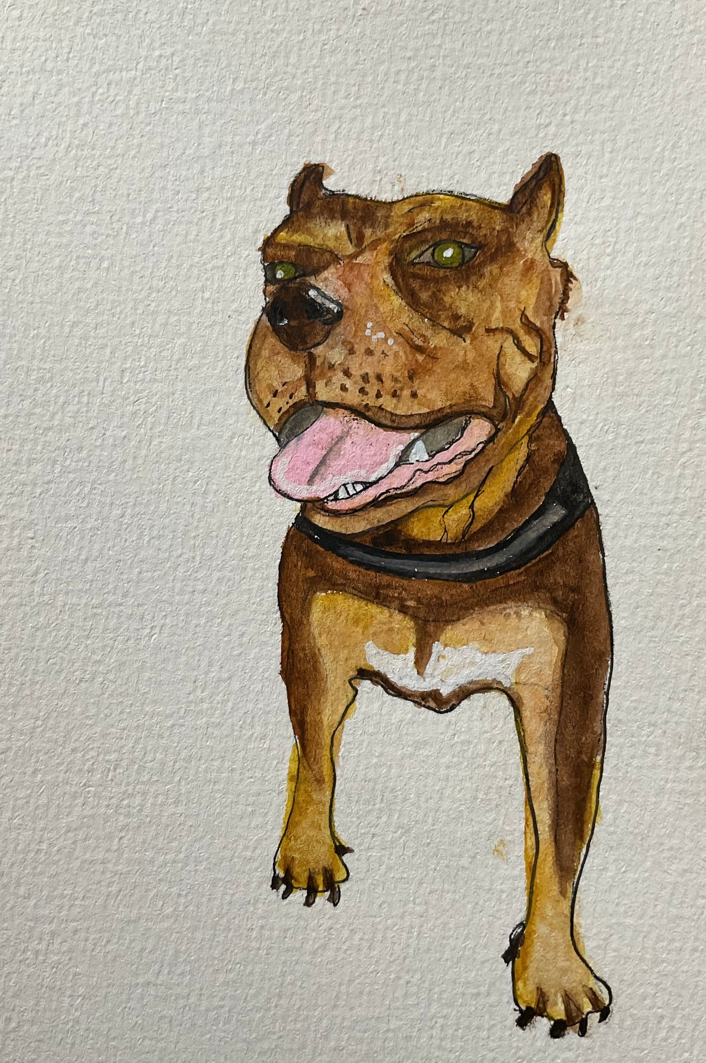 Pet (mini) portraits in watercolor