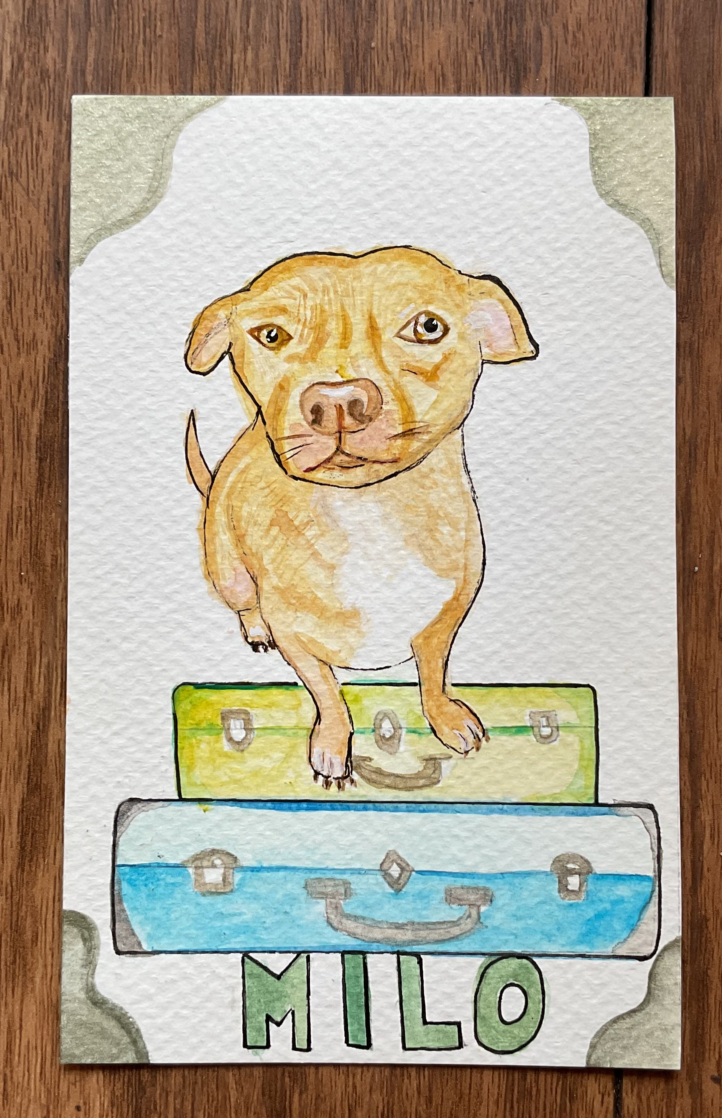 Pet (mini) portraits in watercolor
