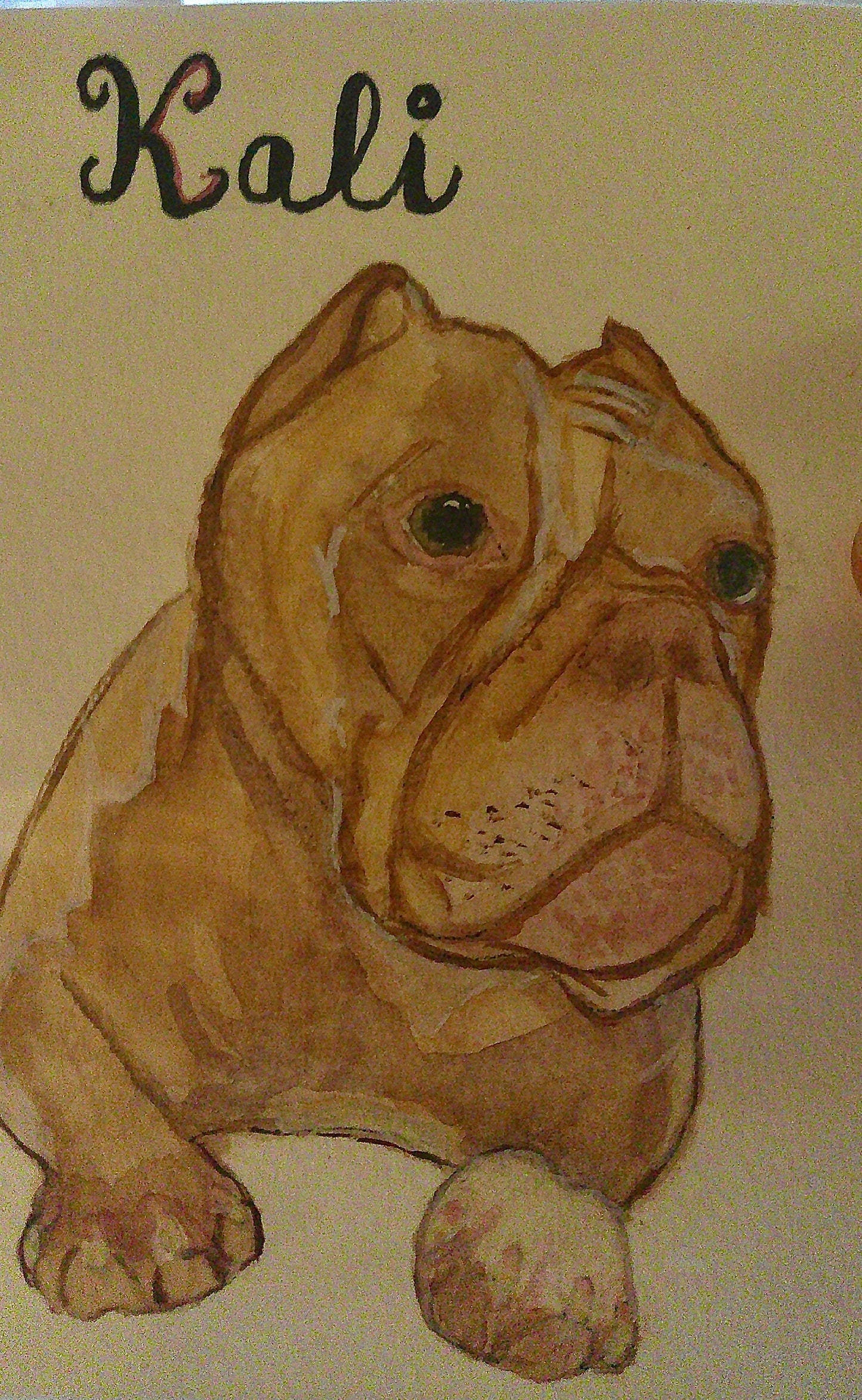 Pet (mini) portraits in watercolor