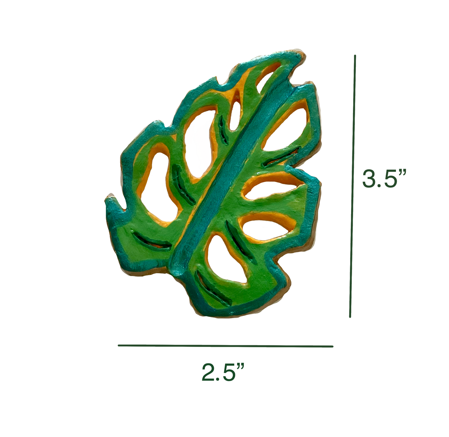 Monstera Leaf